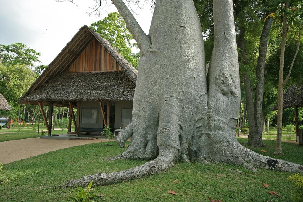 Eden Lodge Madirokely  Exterior photo